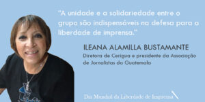 Ileana Alamilla Bustamante