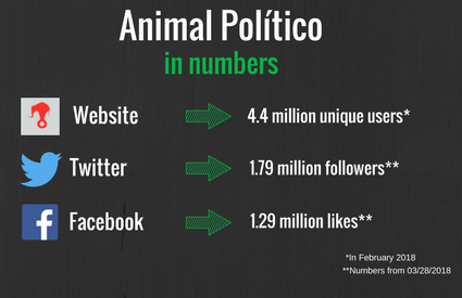 animal politico in numbers