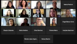 Virtual meeting of the Network of Venezuelan Women Journalists (Screenshot)