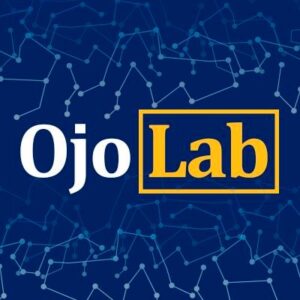 OjoLab: open source mentality applied to journalism
