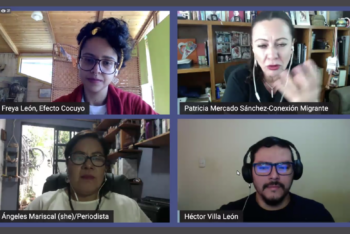 Panel sobre migración durante la Segunda Conferencia Latinoamericana sobre Diversidad en el Periodismo. (Foto: Captura de pantalla)