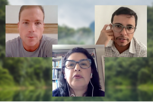 Journalists Joseph Polizsuk, Hyury Potter and Yvette Sierra speak during an online panel about covering illegal mining in Latin America.