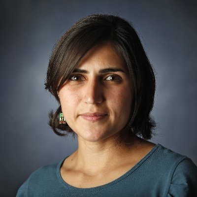 Mexican journalist Perla Trevizo
