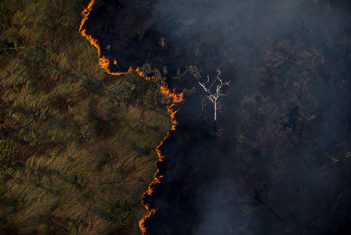 fire in the amazon forest