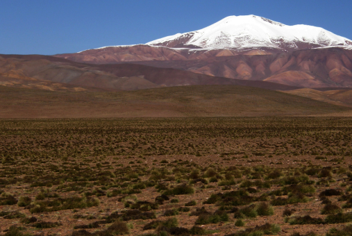 Uma vasta paisagem desértica com o pico nevado do vulcão Quewar em Salta, Argentina, visível no canto superior direito