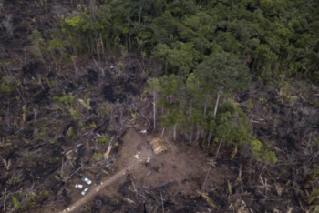 aerial view of deforested area in the brazilian amazon