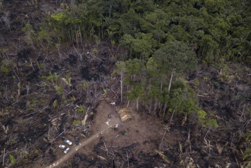 aerial view of deforested area in the brazilian amazon