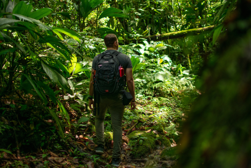 man walking through rainforest