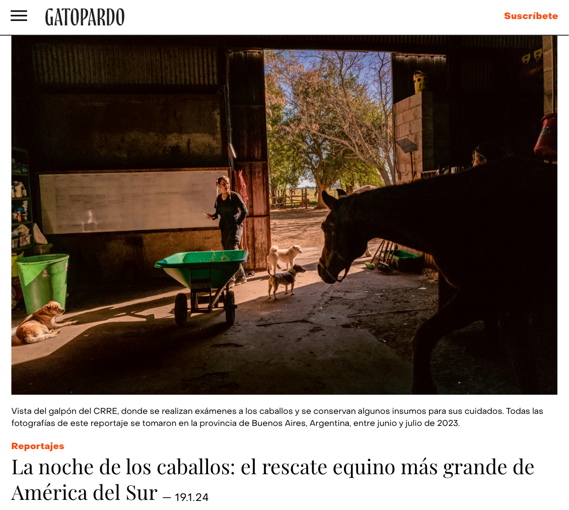 Screenshot of the "La Noche de los Caballos" long form piece by Gatopardo magazine.