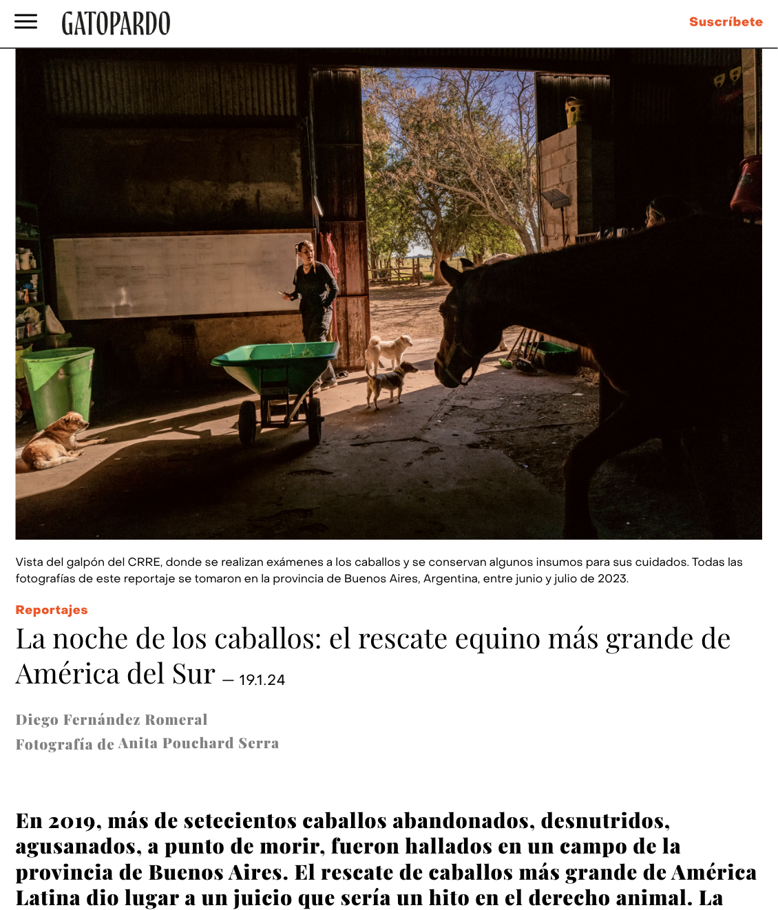 Captura de pantalla del sitio de la revista Gatopardo que muestra un reportaje de periodismo narrativo.