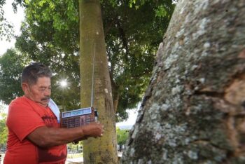 Image of a man listening to the radio among trees in the Brazilian state of Acre