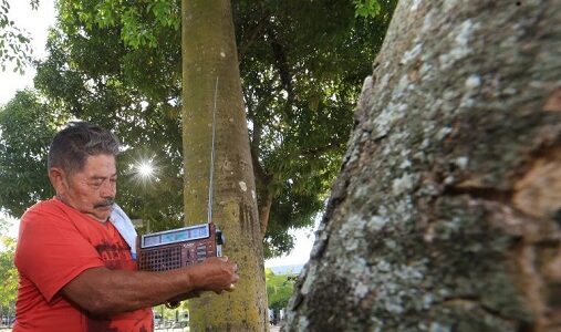 Image of a man listening to the radio among trees in the Brazilian state of Acre