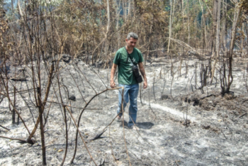 A journalist walking barefoot through a burnt forest, surrounded by ash and charred vegetation. He is wearing a green shirt and jeans, carrying a camera over his shoulder. The scene reflects severe environmental damage, with sparse trees and grey ash covering the ground.