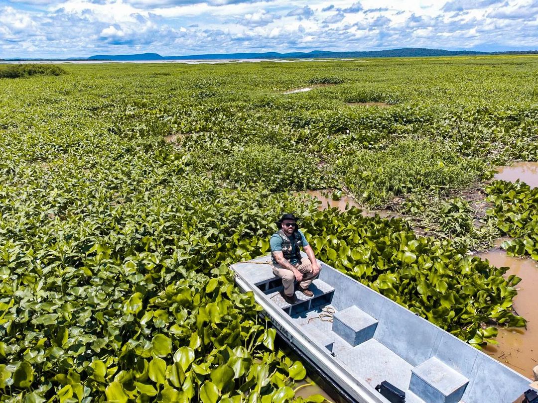 Um jornalista em pé próximo à margem da água na Baía de Chacororé, localizada no Pantanal em Barão do Melgaço, Mato Grosso. A cena destaca o ambiente exuberante de áreas alagadas, com água, vegetação e céu aberto.