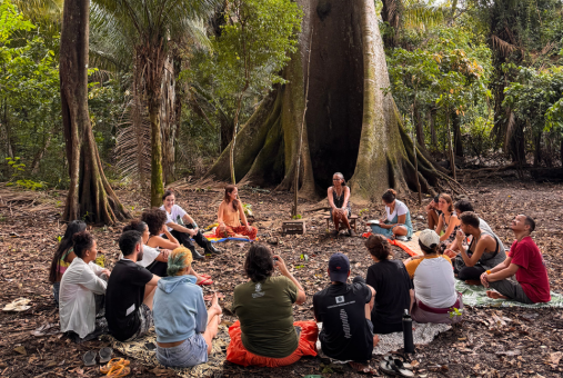 Group of people sitting in a circle in front of a large tree