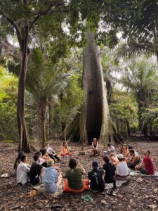 People sitting in a circle in front of large tree