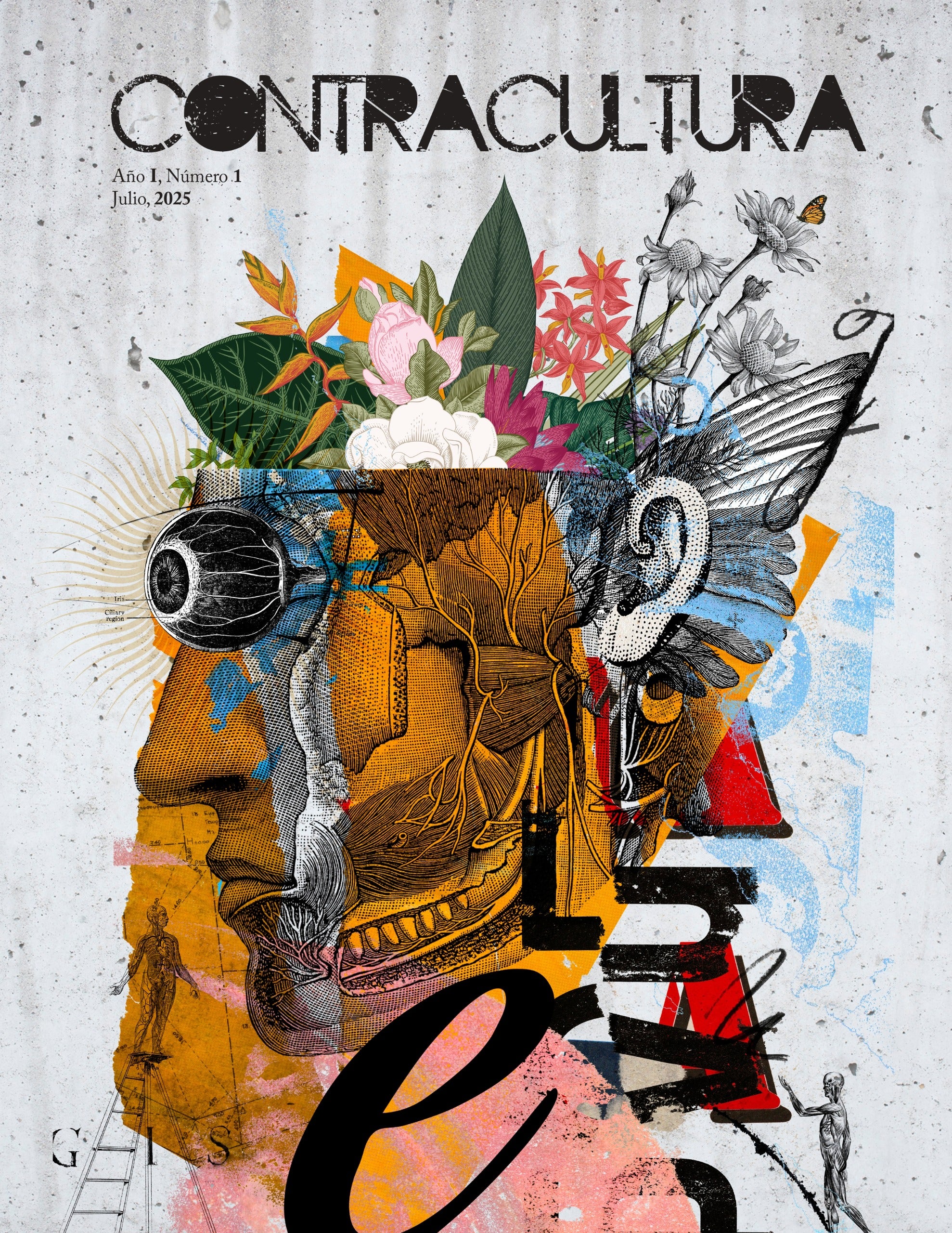 Cover of a print magazine tha