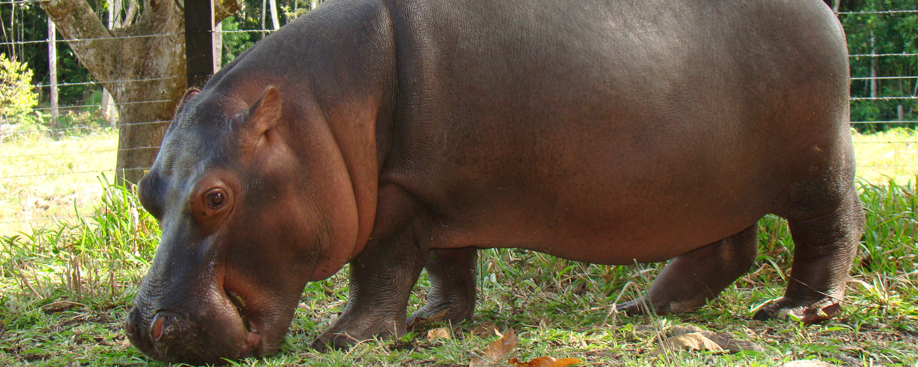 knight-knightcenter.pantheonsite.io