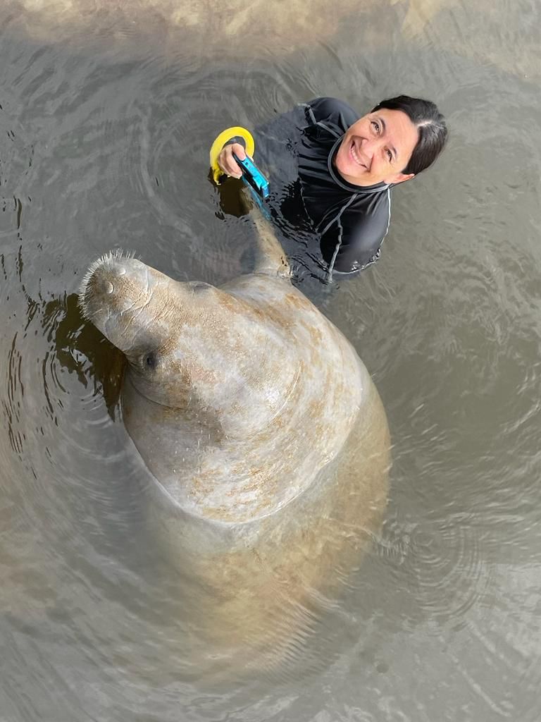 A woman in the water touching a 