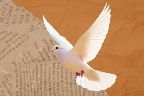 Dove in front of newspaper clipping